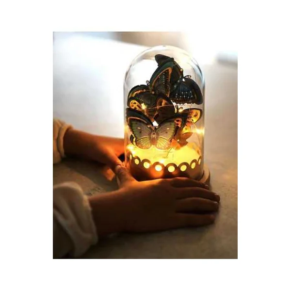 Cloche lumineuse Papillons à créer - Les ateliers déco - Janod
