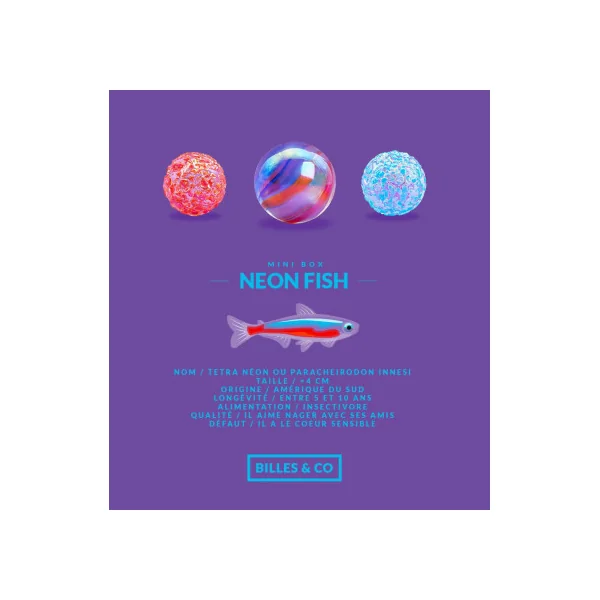 Coffret de 25 billes Neon Fish - Billes & Co