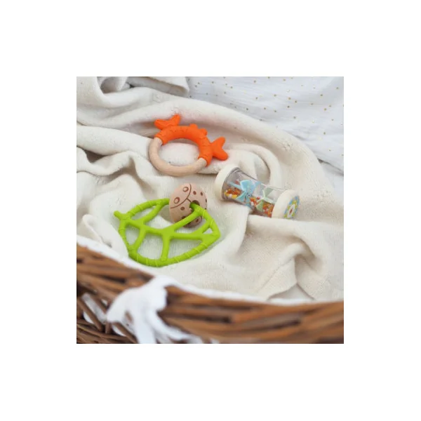 Coffret de naissance BabySet - Djeco