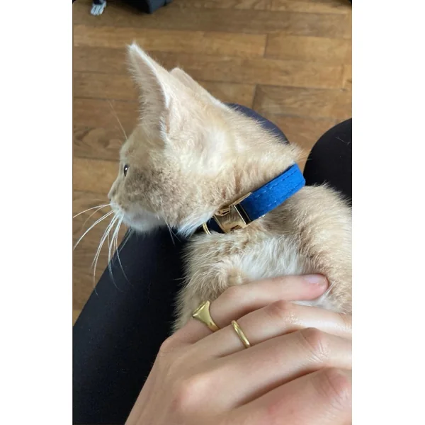 Collier Chat Personnalisé Velours Lisse Bleu Marine