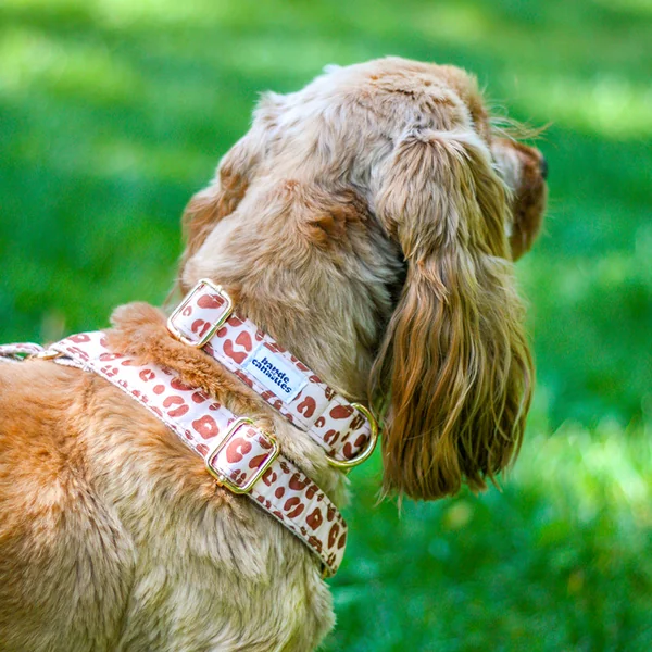 Collier Chien Personnalisé Léopard Sable