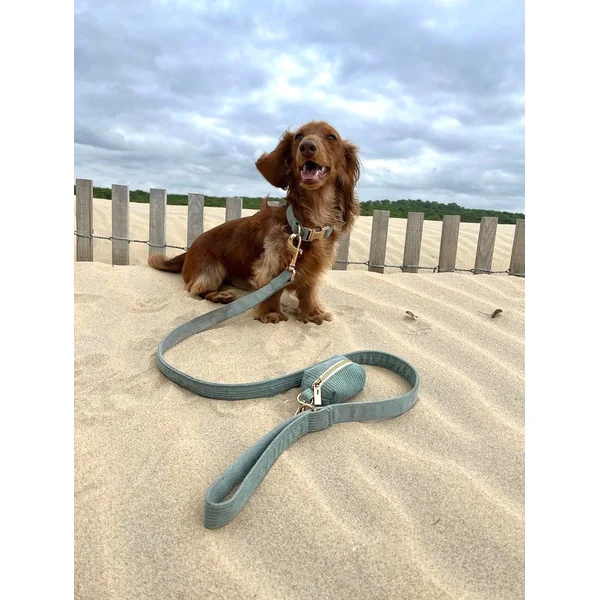 Collier Chien Personnalisé Velours Côtelé Bleu Ciel