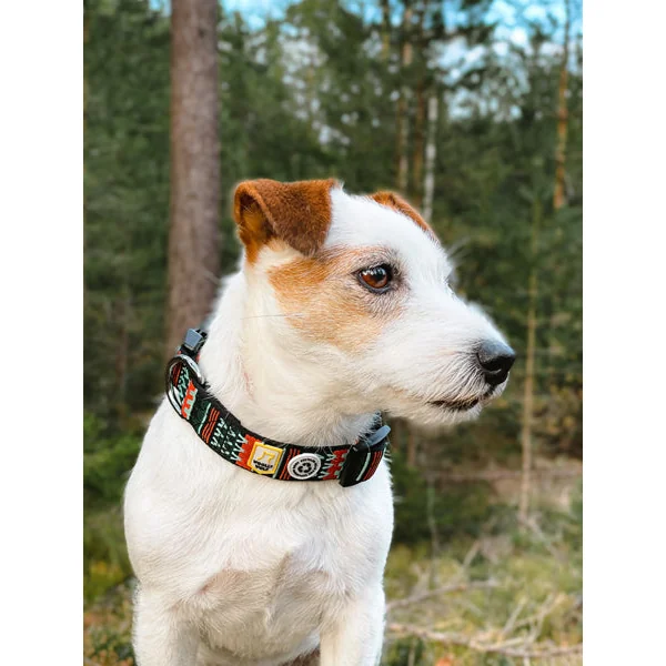 Collier original pour chien motif Woodland - Woolly Wolf
