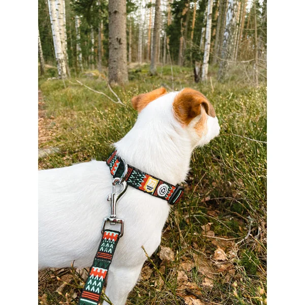 Collier original pour chien motif Woodland - Woolly Wolf