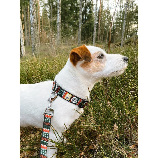 Collier original pour chien motif Woodland - Woolly Wolf