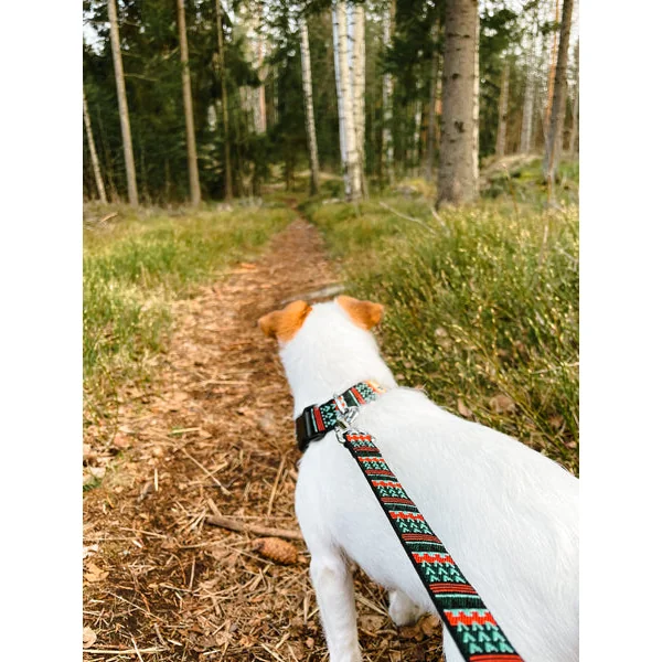 Collier original pour chien motif Woodland - Woolly Wolf