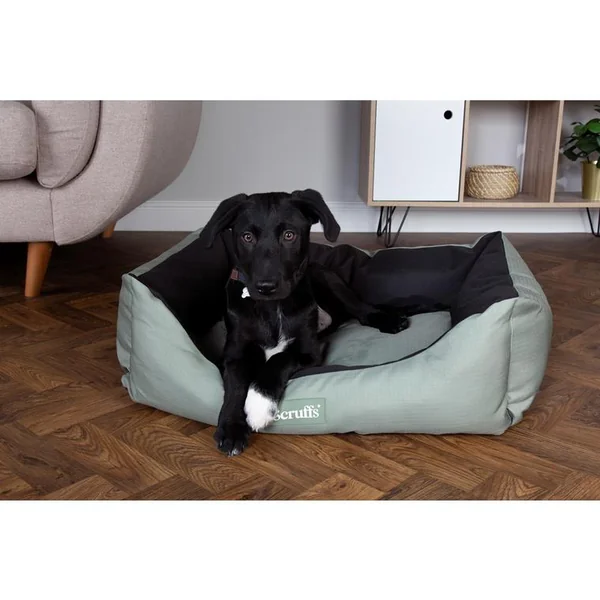 Couchage Chien - Scruffs Corbeille imperméable Expédition Taille M Gris et noir - 60 x 50 cm