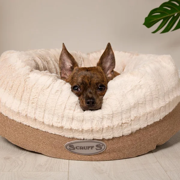 Couchage Chien – Scruffs Corbeille Ronde Ellen Beige – Taille XL