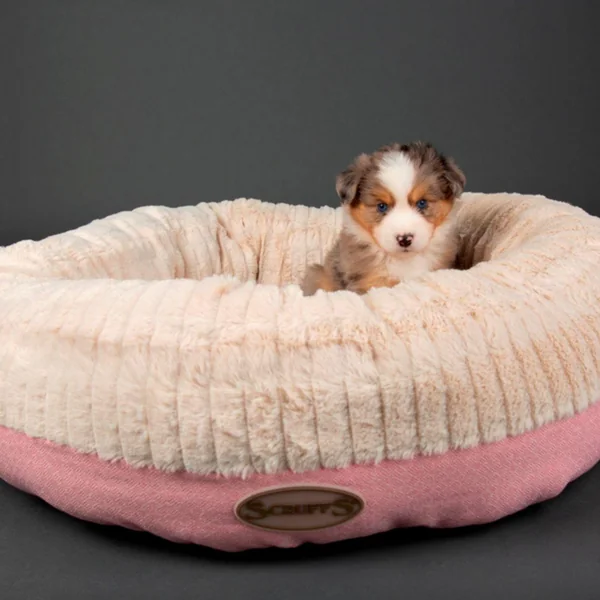 Couchage Chien – Scruffs Corbeille Ronde Ellen Rose – Taille XL