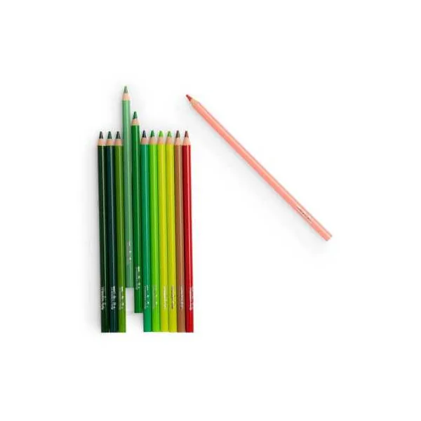 Crayons de couleur et cartes Nature Le Jardin du Moulin - Moulin Roty