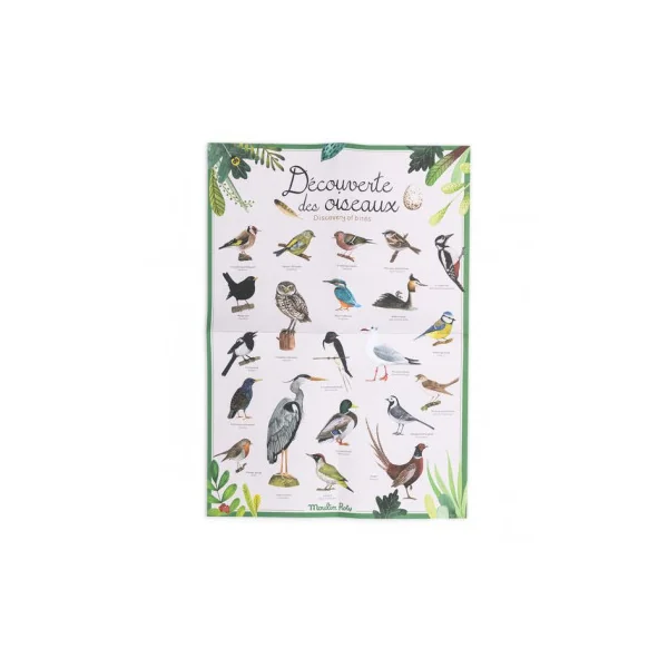 Découverte des oiseaux Le Jardin du Moulin - Moulin Roty