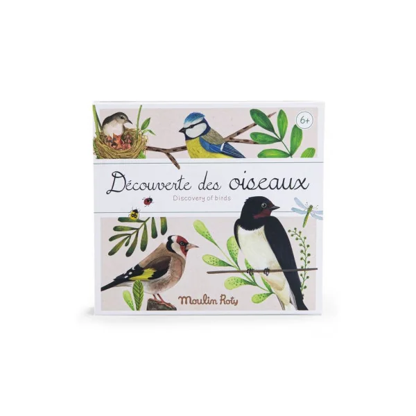 Découverte des oiseaux Le Jardin du Moulin - Moulin Roty