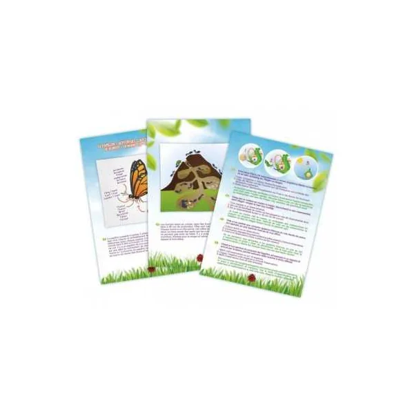 Explorateur d'insectes - Buki