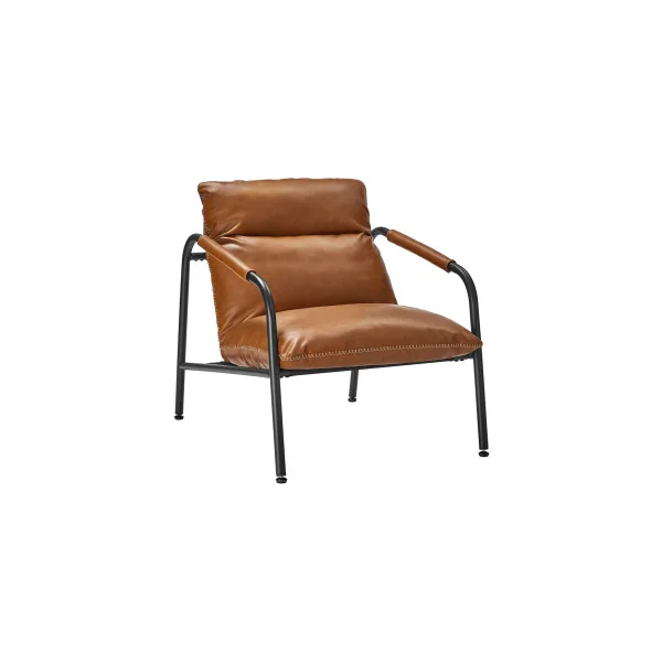 Fauteuil d’Appoint avec Accoudoirs Fauteuil de Salon Marron Caramel