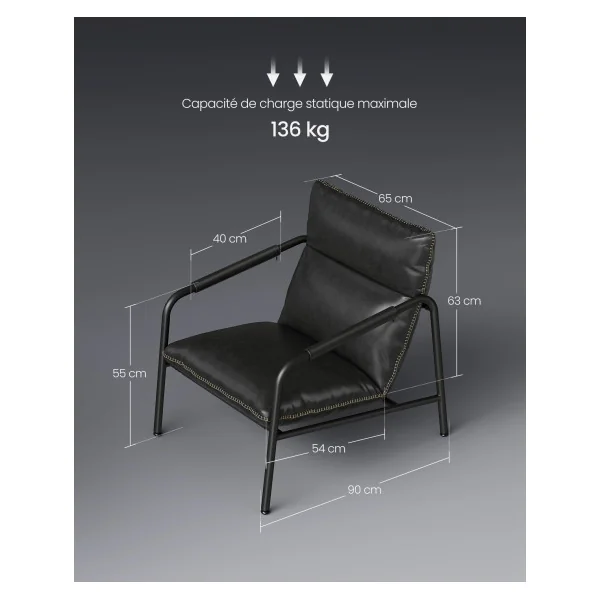 Fauteuil d’Appoint avec Accoudoirs Fauteuil de Salon Noir