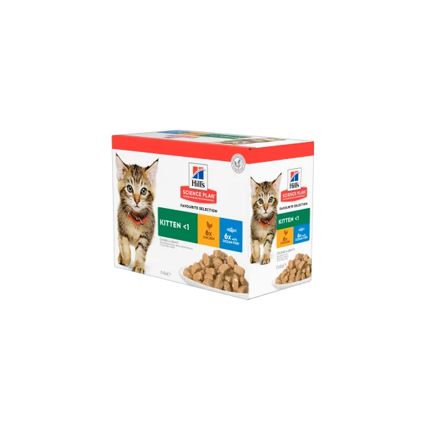 FELINE KITTEN MULTIPACK X12