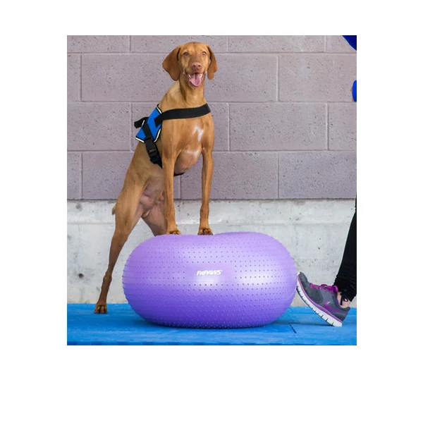FitPAWS Trax Donut Ballon d'Equilibre pour Chien