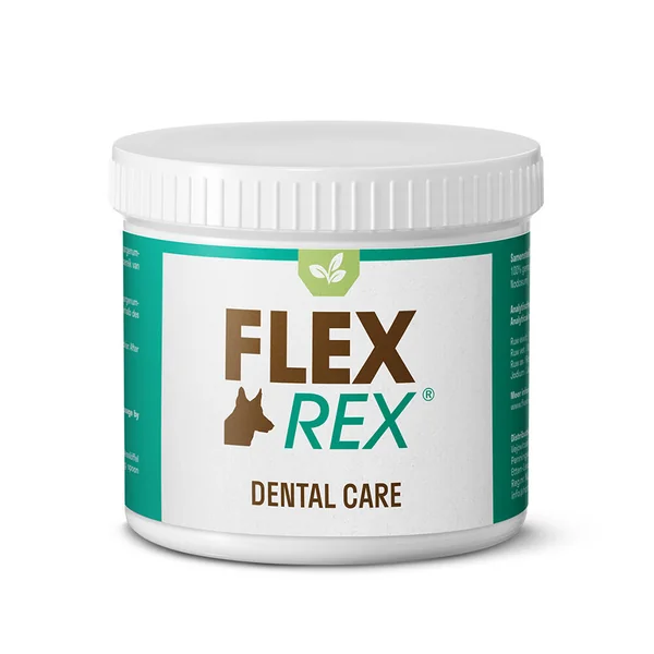 FlexRex Dental Care