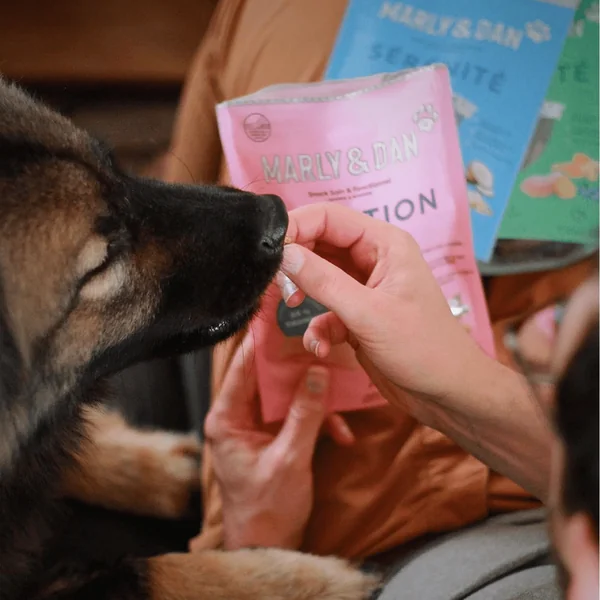 Friandise Chien – Marly & Dan Barres à mâcher « Digestion » - 80 gr