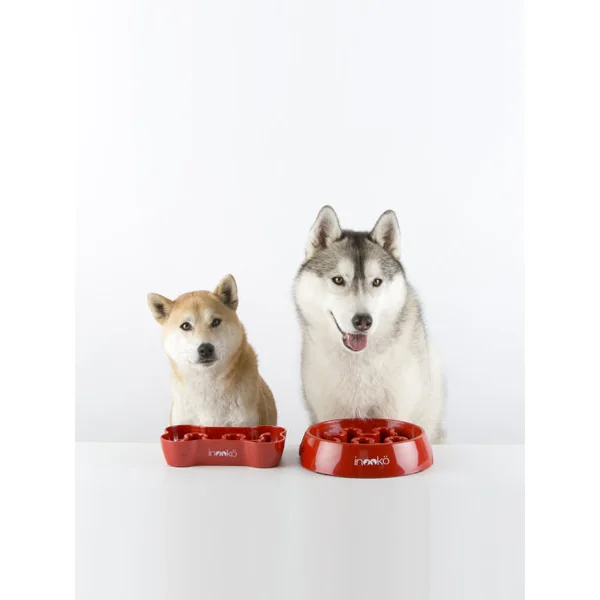 Gamelle anti-glouton pour chat - gris foncé