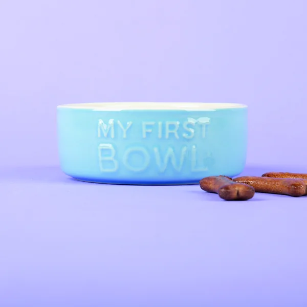 Gamelle Chien – Scruffs Ma première gamelle bleu – Ø 13 x 5 cm