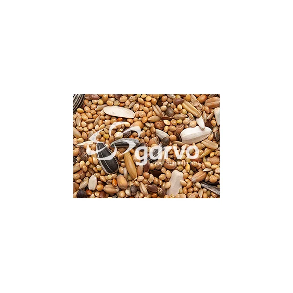 Garvo Graines pour Grandes Perruches