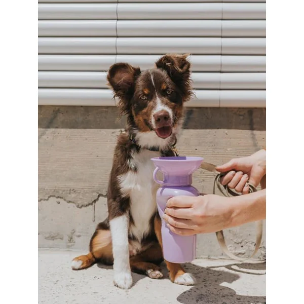 Gourde pour chien avec distributeur d’eau - Large (65 cl) Lila - Springer