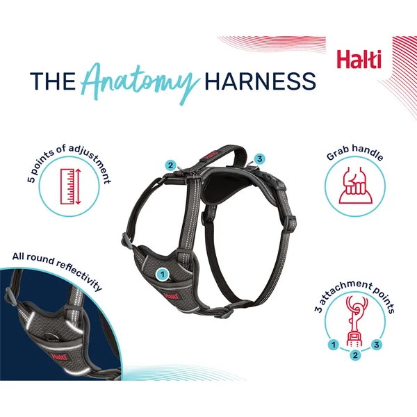 Halti Anatomy Harness