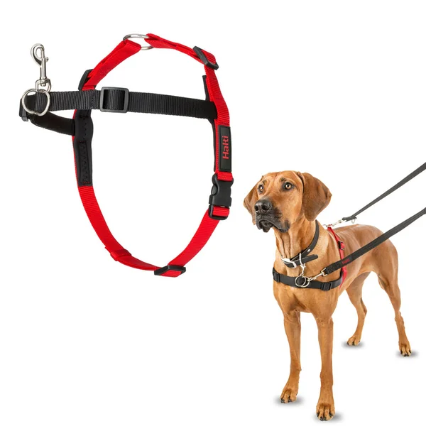 Halti Harnais Anti-Traction pour Chien