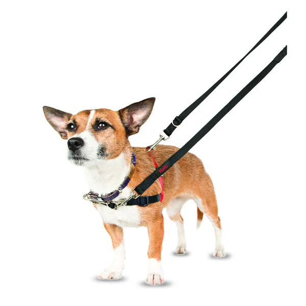 Halti Harnais Anti-Traction pour Chien