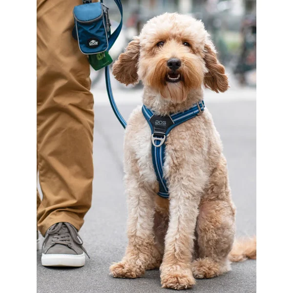 Harnais Bleu pour chien - Comfort Walk Air 3.0 - DOG Copenhagen