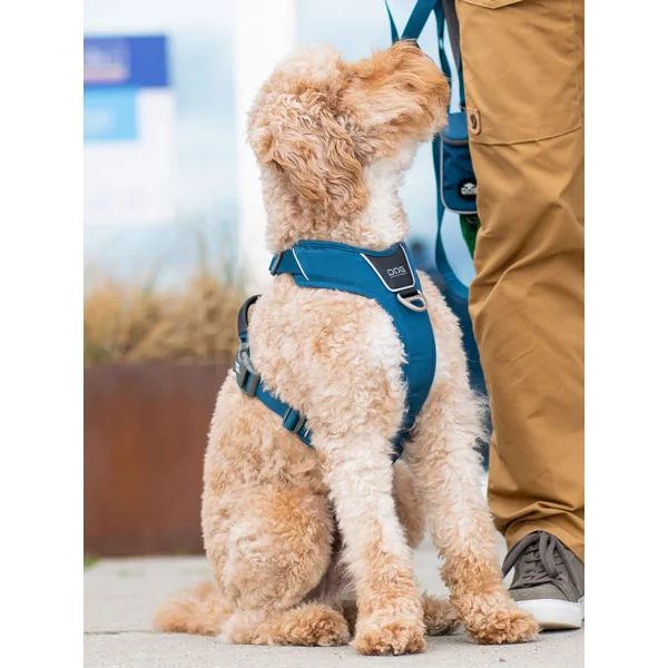 Harnais Bleu pour chien - Comfort Walk Pro 3.0 - DOG Copenhagen