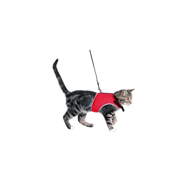 HARNAIS CHAT X CAT