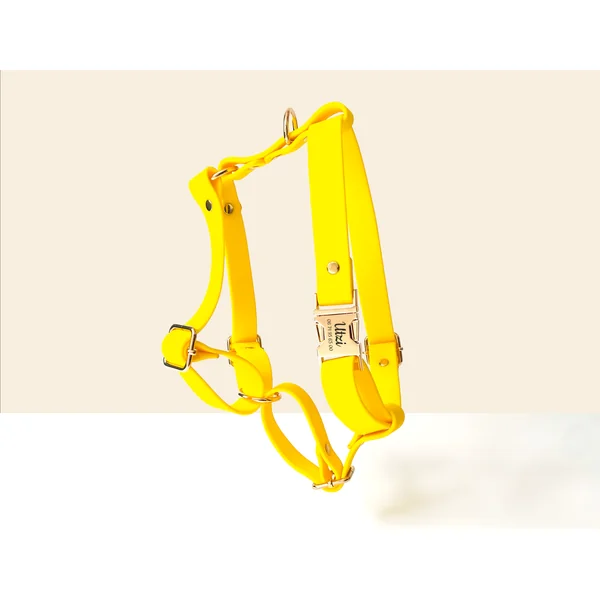 Harnais Chien Personnalisé Biothane Jaune