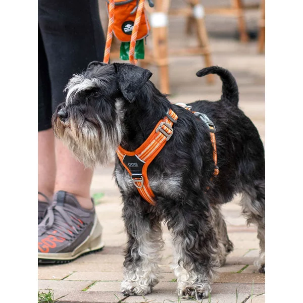 Harnais Orange pour chien - Comfort Walk Air 3.0 - DOG Copenhagen