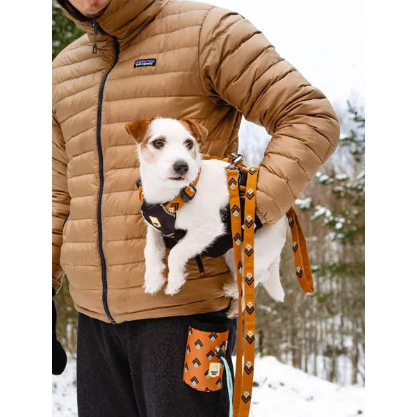 Harnais original pour chien motif Sea to Summit - Woolly Wolf