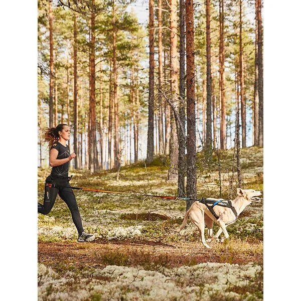 Harnais pour chien - Freemotion Harness - Non-Stop Dogwear