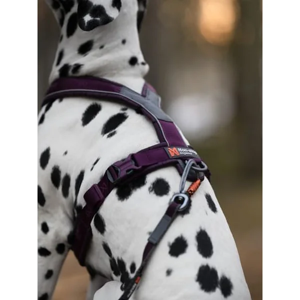 Harnais pour chien - Line Harness 5.0 - Noir - Non-Stop Dogwear