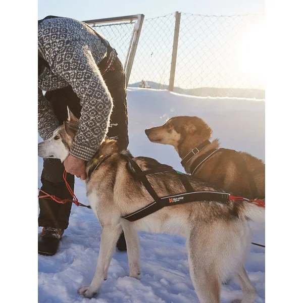 Harnais pour chien - Nansen Nome Harness 5.0 - Non-Stop Dogwear