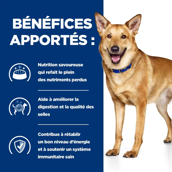 Hill's i/d Digestive Care - Prescription Diet - Canine - Mijoté pour Chien