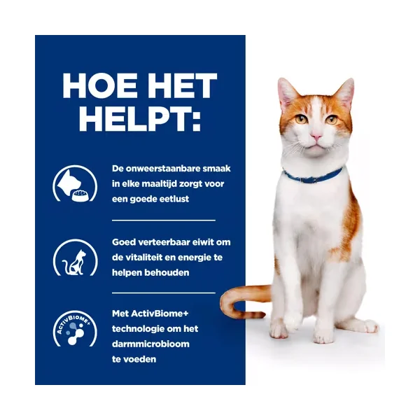 Hill's ON-Care Ragoût - Prescription Diet - Feline