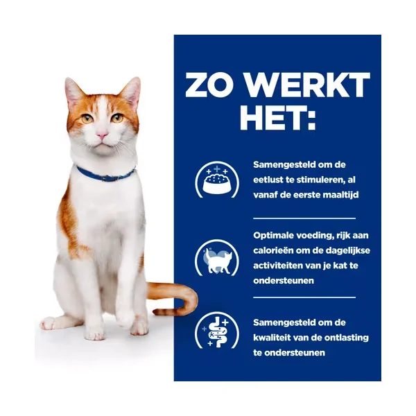 Hill's ON-Care Ragoût - Prescription Diet - Feline