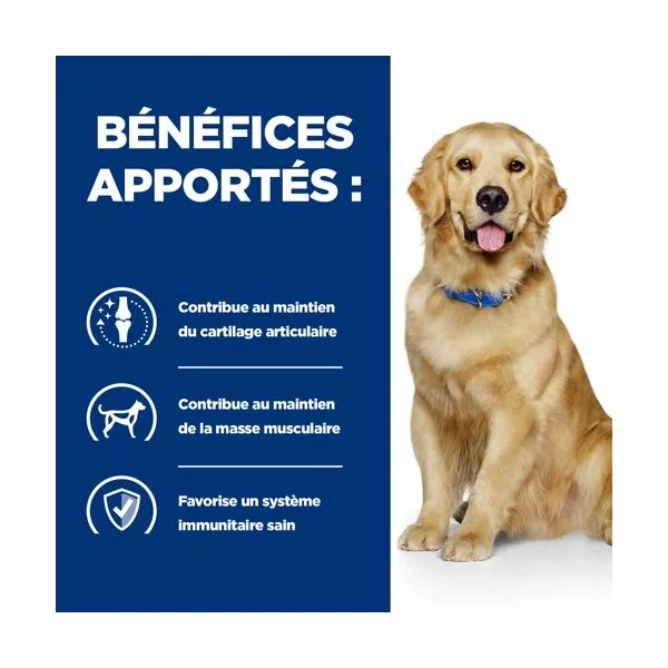 Hill's Prescription Diet j/d Joint Care - Chien