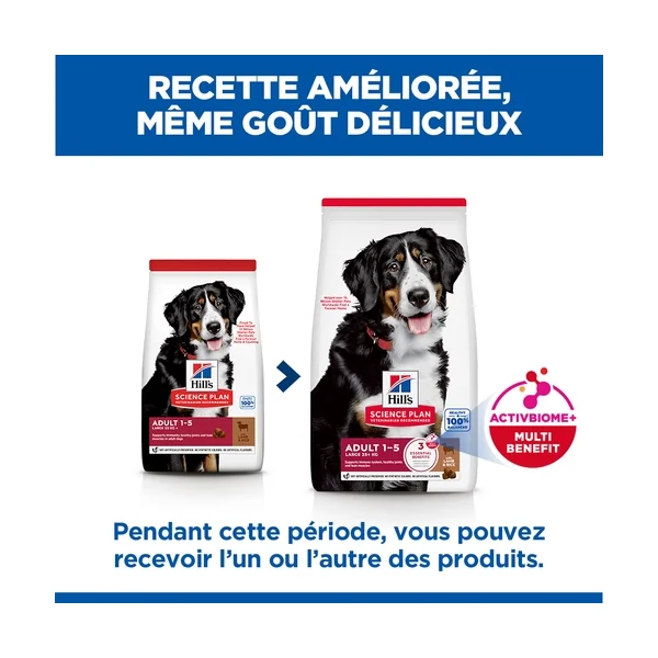 Hill's Science Plan Large Breed - Adulte - Agneau & Riz