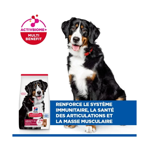 Hill's Science Plan Large Breed - Adulte - Agneau & Riz