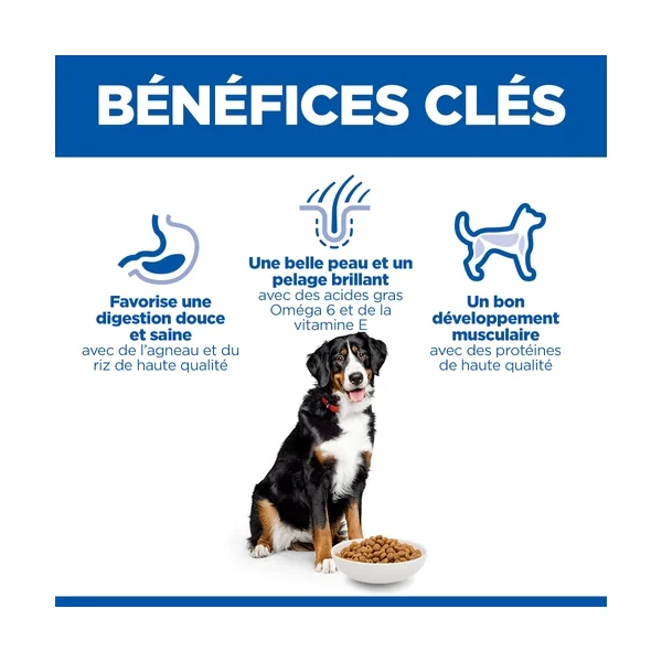 Hill's Science Plan Large Breed - Adulte - Agneau & Riz