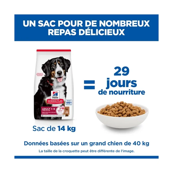 Hill's Science Plan Large Breed - Adulte - Agneau & Riz