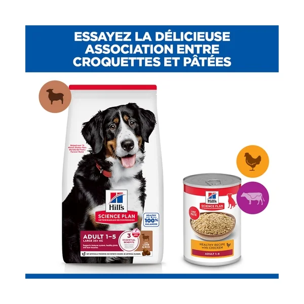 Hill's Science Plan Large Breed - Adulte - Agneau & Riz