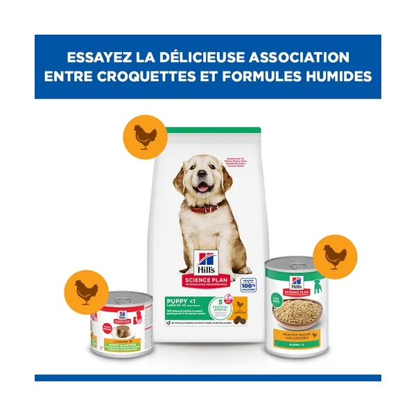 Hill's Science Plan - Large Breed - Puppy - Poulet
