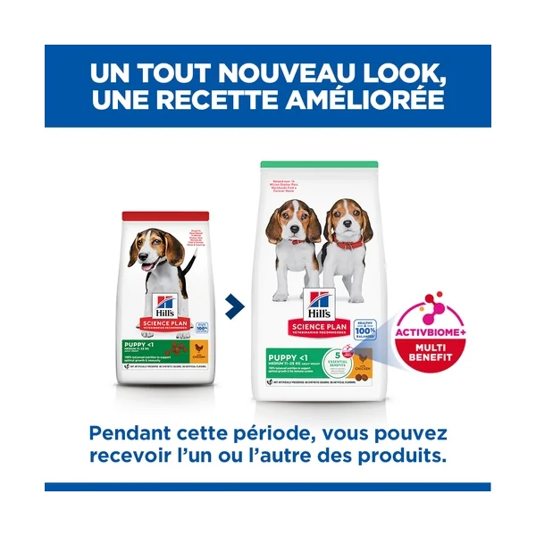 Hill's Science Plan - Puppy - Medium - Poulet
